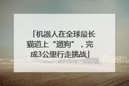 机器人在全球最长猫道上“遛狗”，完成3公里行走挑战