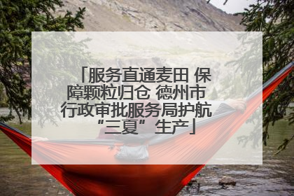 服务直通麦田 保障颗粒归仓 德州市行政审批服务局护航“三夏”生产