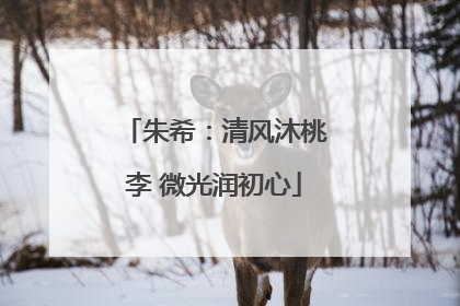 朱希：清风沐桃李 微光润初心