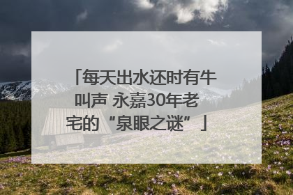 每天出水还时有牛叫声 永嘉30年老宅的“泉眼之谜”