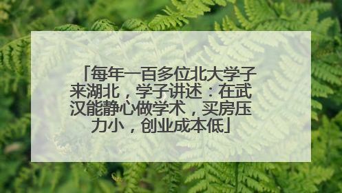 每年一百多位北大学子来湖北，学子讲述：在武汉能静心做学术，买房压力小，创业成本低
