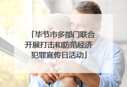 毕节市多部门联合开展打击和防范经济犯罪宣传日活动