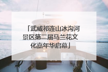 武威祁连山冰沟河景区第二届马兰花文化嘉年华启幕