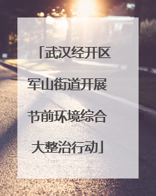 武汉经开区军山街道开展节前环境综合大整治行动