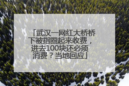 武汉一网红大桥桥下被指圈起来收费，进去100块还必须消费？当地回应