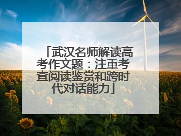 武汉名师解读高考作文题：注重考查阅读鉴赏和跨时代对话能力