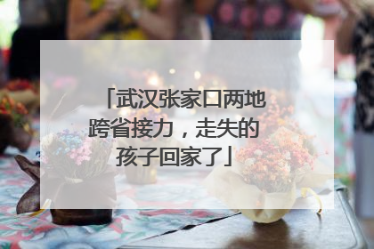 武汉张家口两地跨省接力，走失的孩子回家了