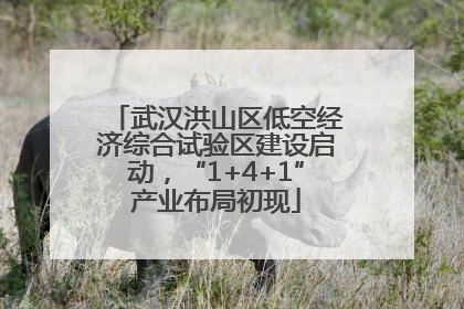 武汉洪山区低空经济综合试验区建设启动，“1+4+1”产业布局初现