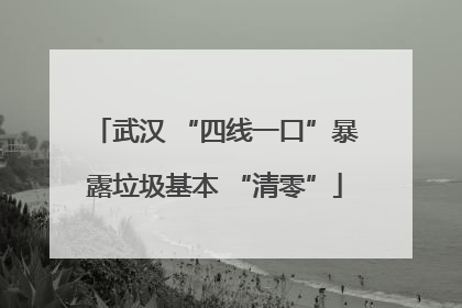 武汉 “四线一口”暴露垃圾基本 “清零”
