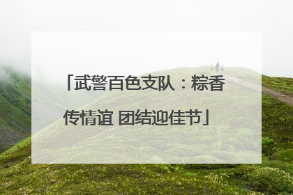 武警百色支队：粽香传情谊 团结迎佳节