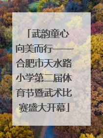 武韵童心 向美而行——合肥市天水路小学第二届体育节暨武术比赛盛大开幕