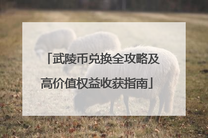 武陵币兑换全攻略及高价值权益收获指南