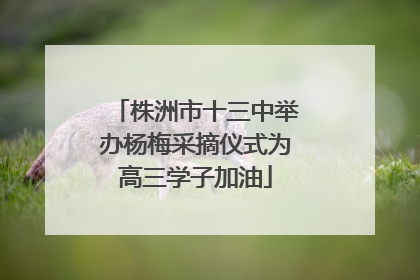 株洲市十三中举办杨梅采摘仪式为高三学子加油