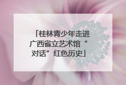 桂林青少年走进广西省立艺术馆“对话”红色历史