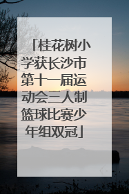 桂花树小学获长沙市第十一届运动会三人制篮球比赛少年组双冠