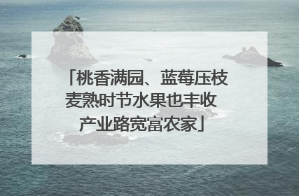 桃香满园、蓝莓压枝 麦熟时节水果也丰收 产业路宽富农家