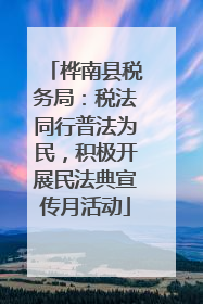 桦南县税务局：税法同行普法为民，积极开展民法典宣传月活动