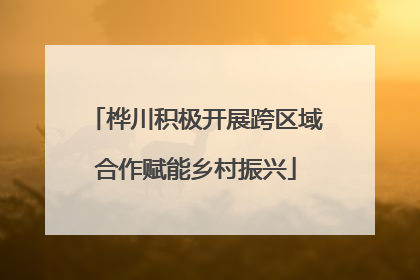桦川积极开展跨区域合作赋能乡村振兴