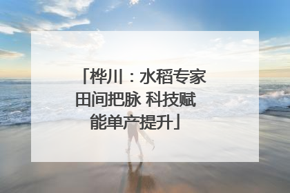 桦川：水稻专家田间把脉 科技赋能单产提升