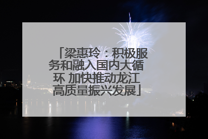 梁惠玲：积极服务和融入国内大循环 加快推动龙江高质量振兴发展