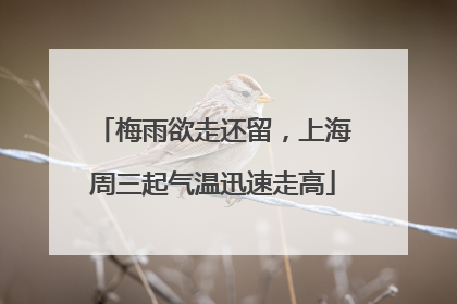 梅雨欲走还留，上海周三起气温迅速走高