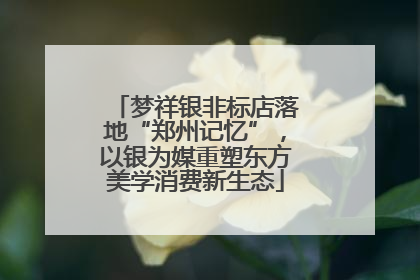 梦祥银非标店落地“郑州记忆”，以银为媒重塑东方美学消费新生态