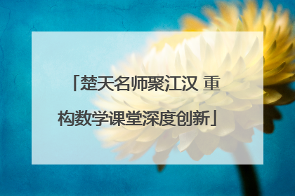 楚天名师聚江汉 重构数学课堂深度创新