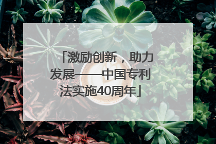 激励创新，助力发展——中国专利法实施40周年