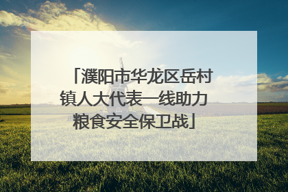 濮阳市华龙区岳村镇人大代表一线助力粮食安全保卫战