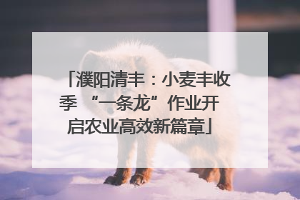 濮阳清丰：小麦丰收季 “一条龙”作业开启农业高效新篇章