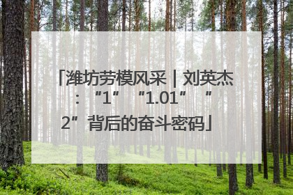 潍坊劳模风采｜刘英杰：“1”“1.01”“2”背后的奋斗密码