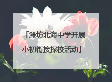 潍坊北海中学开展小初衔接探校活动