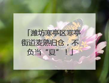 潍坊寒亭区寒亭街道麦熟归仓，不负当“夏”！