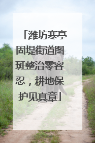 潍坊寒亭固堤街道图斑整治零容忍，耕地保护见真章