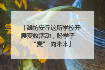 潍坊安丘这所学校开展麦收活动，盼学子 “麦” 向未来