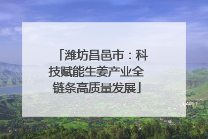 潍坊昌邑市：科技赋能生姜产业全链条高质量发展
