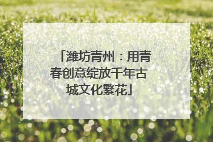 潍坊青州：用青春创意绽放千年古城文化繁花