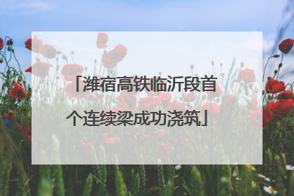 潍宿高铁临沂段首个连续梁成功浇筑