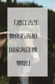 澄江古生物化石亮相国家海洋博物馆