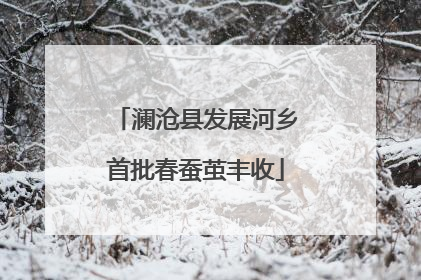 澜沧县发展河乡首批春蚕茧丰收