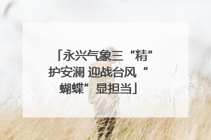 永兴气象三“精”护安澜 迎战台风“蝴蝶”显担当