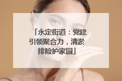 永定街道：党建引领聚合力，清淤排险护家园
