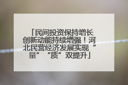 民间投资保持增长 创新动能持续增强！河北民营经济发展实现“量”“质”双提升