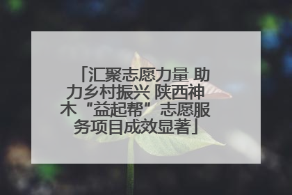 汇聚志愿力量 助力乡村振兴 陕西神木“益起帮”志愿服务项目成效显著