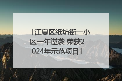 江夏区纸坊街一小区一年逆袭 荣获2024年示范项目