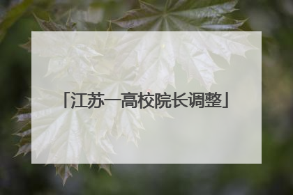 江苏一高校院长调整