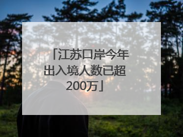 江苏口岸今年出入境人数已超200万