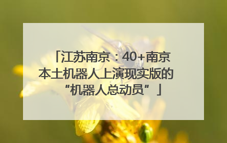 江苏南京：40+南京本土机器人上演现实版的“机器人总动员”