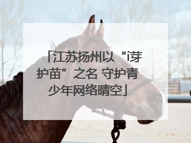 江苏扬州以“i芽护苗”之名 守护青少年网络晴空