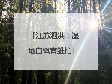江苏泗洪：湿地白鹭育雏忙